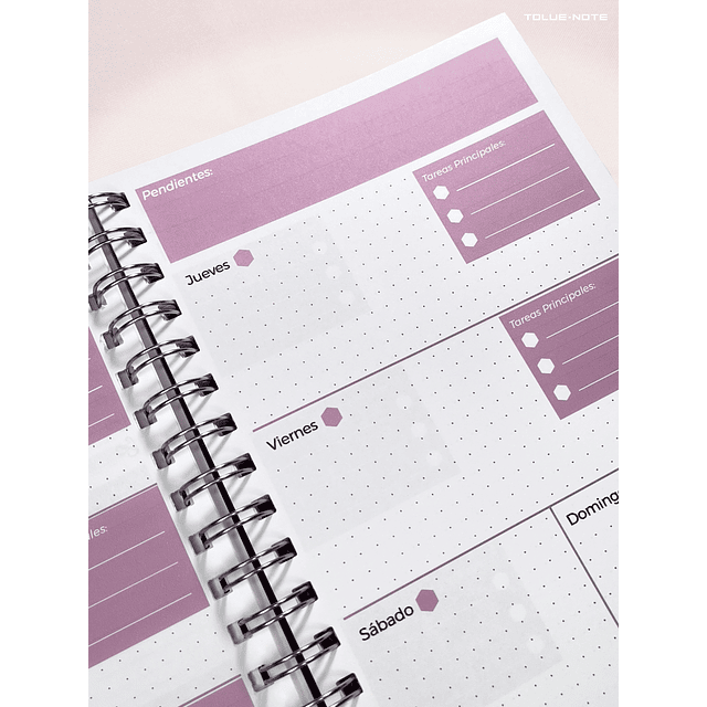 Planner Científico - Rosa