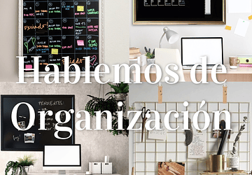 Hablemos de Organización 