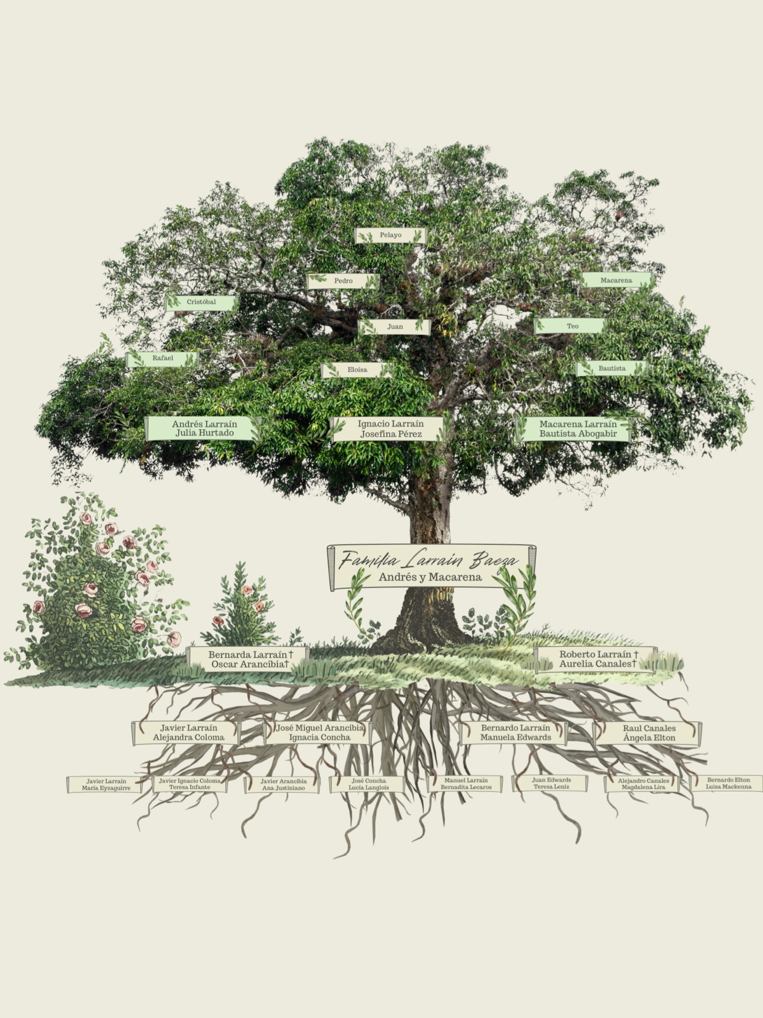 Roble