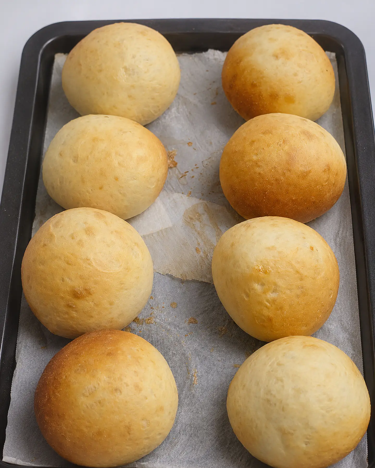Frica 3