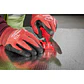 Afilador De Cuchillos Compacto Milwaukee 48-22-1590 - Miniatura 11