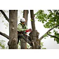 Motosierra Compacta Milwaukee M18 Fuel Hatchet 8 Pulgadas 3004-20 - Miniatura 18