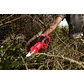 Kit Tijera De Podar Inalámbrica Milwaukee M12 Brushless 2534-21 - Miniatura 10