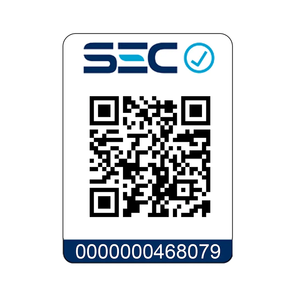 Calefactor a Pellet Bosca Black Vision Burdeo – Diseño Panorámico y Alta Eficiencia 12