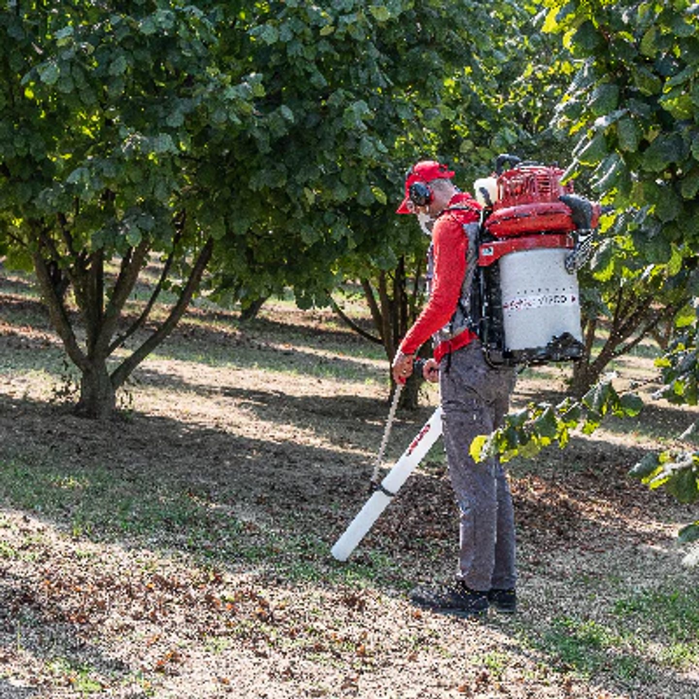 Aspirador Cifarelli V1200E – Aspiradora Profesional de Hojas Potente y Eficiente 2