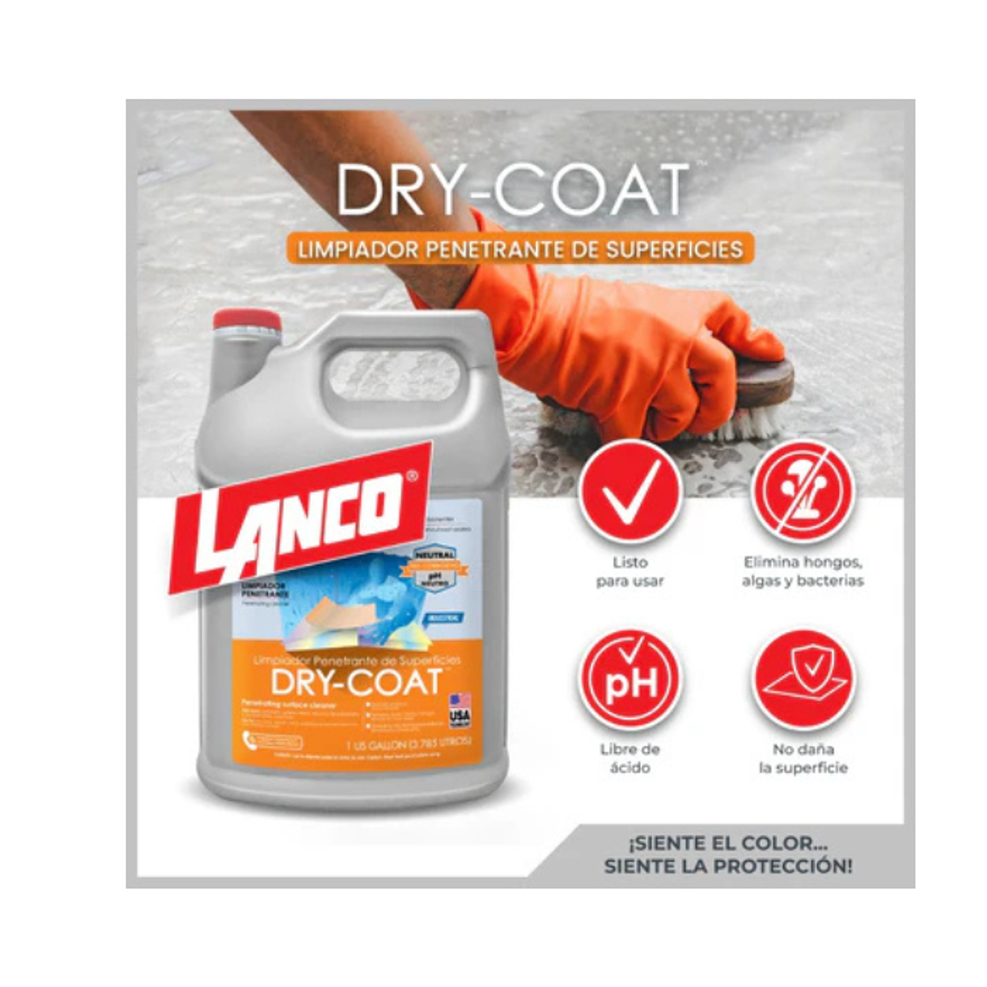 LIMPIADOR SUPERFICIES DRY COAT CLEANER 1GL 2
