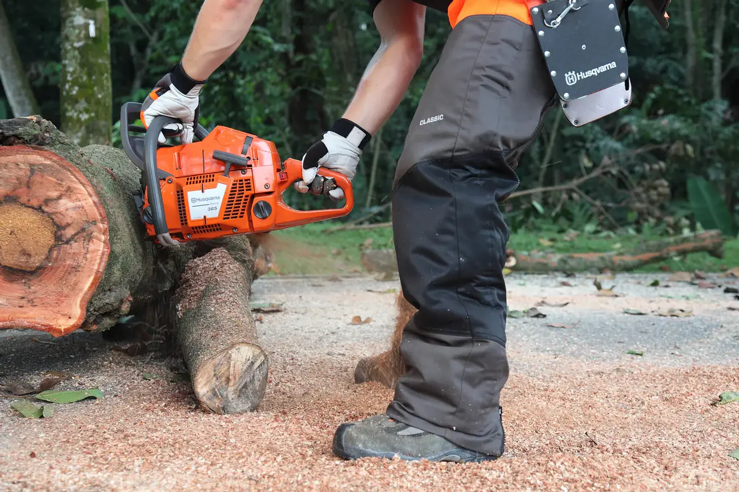 Motosierra Husqvarna 365 20” Profesional – Potencia y Versatilidad para Trabajo Intensivo 3