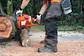 Motosierra Husqvarna 365 20” Profesional – Potencia y Versatilidad para Trabajo Intensivo - Miniatura 3
