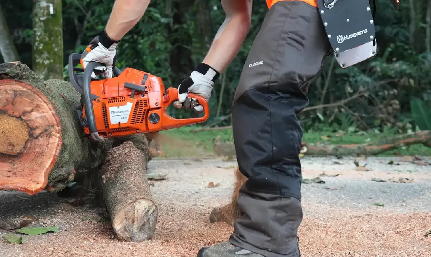 Motosierra Husqvarna 365 24” Profesional 2024 – Alta Potencia para Trabajo Forestal 3