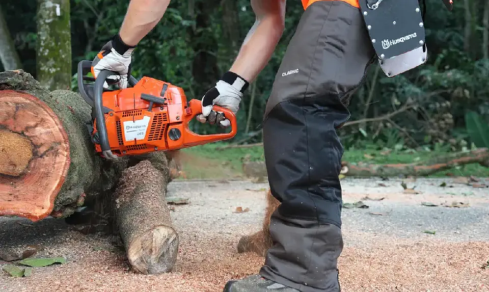 Motosierra Husqvarna 365 24” Profesional 2024 – Alta Potencia para Trabajo Forestal 3