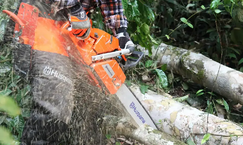 Motosierra Husqvarna 365 24” Profesional 2024 – Alta Potencia para Trabajo Forestal 4