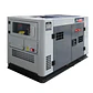 Generador Diesel (XP) TDWG12000SGE3-N Trifasico 9,5 Kw - Miniatura 1