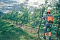 MOTOSIERRA LITIO HUSQVARNA 535I XP - Miniatura 3