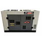 GENERADOR DIESEL (XP) TDWG12000SGE 8,5KW - Miniatura 1