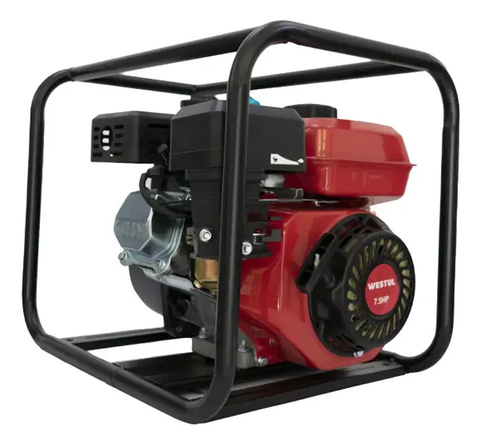 MOTOBOMBA GASOLINA 3X3 WT-GWP30 2