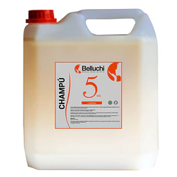 Champú Limpieza 5 Litros - Belluchi