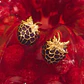 MINI ARETE BERRY - Miniatura 1