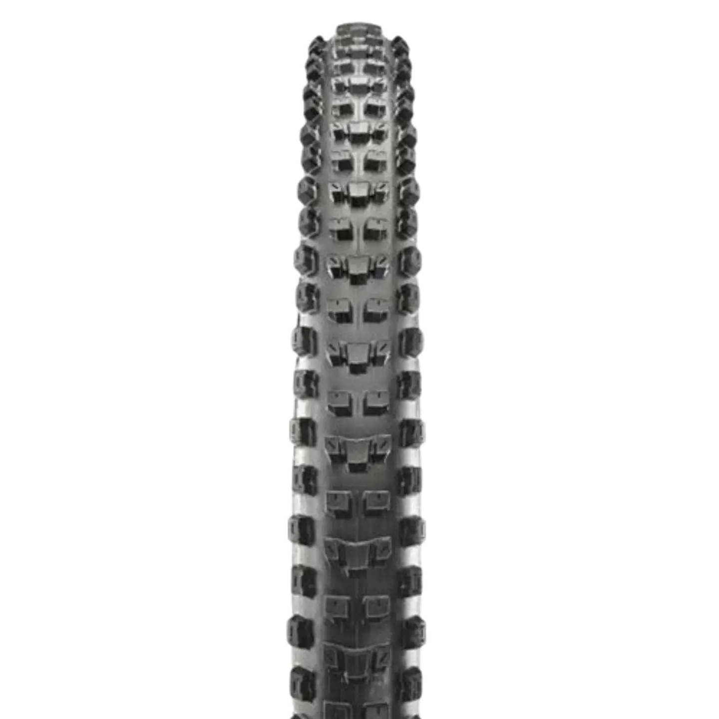NEUMÁTICO MAXXIS DISSECTOR 29 x 2.40WT 3C EXO TR 1