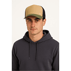 Jockey verde-beige 1