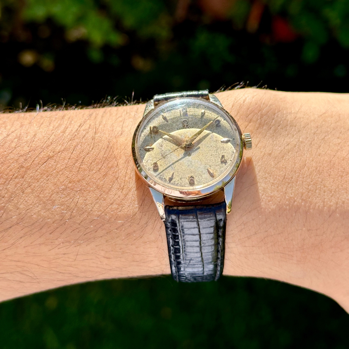 Omega – Ref. 2513-3 – Chapado Oro 80 Micrones – Calibre 283 Manual – 35mm – 1951 8