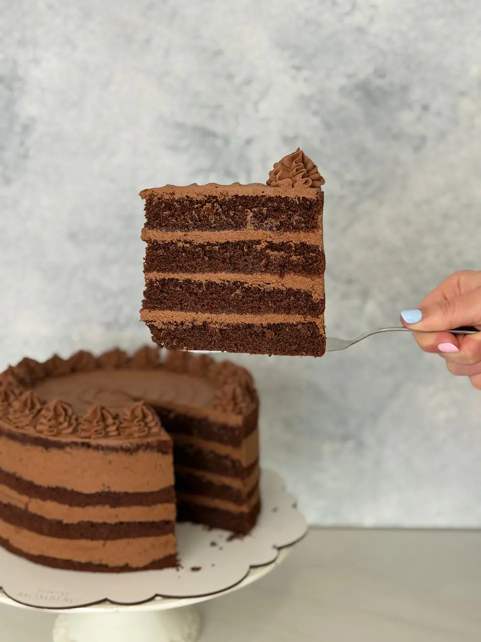 Trozo torta chocolatosa 1