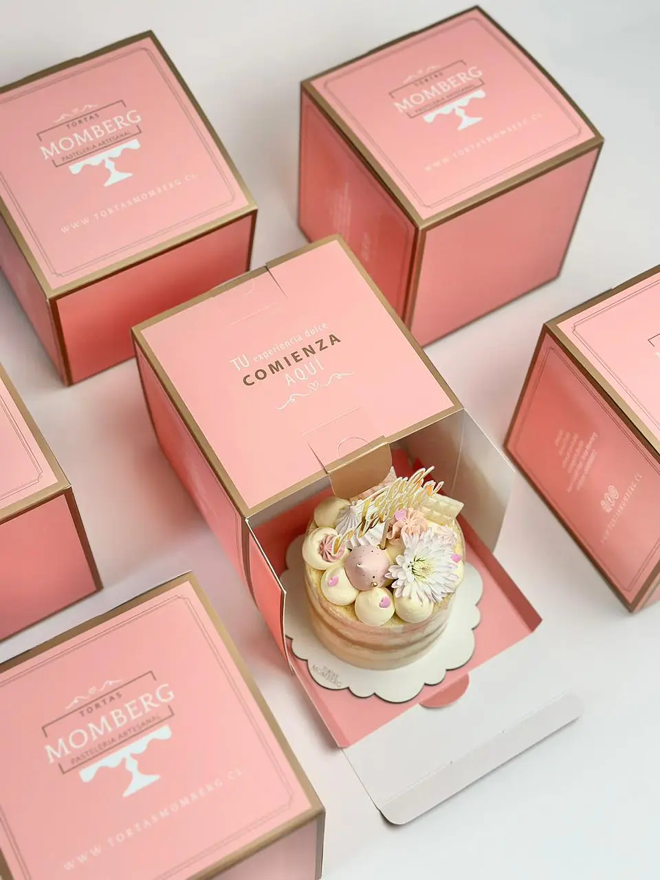 Mini Cake para Mamá (2-3 personas) 3