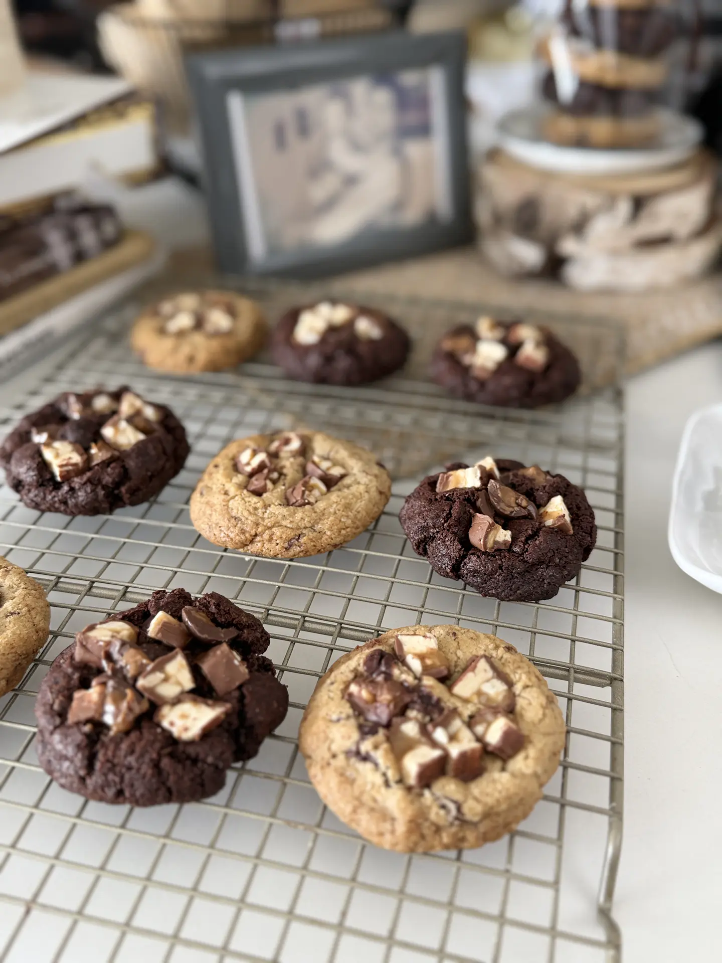 Galletas Premium 2