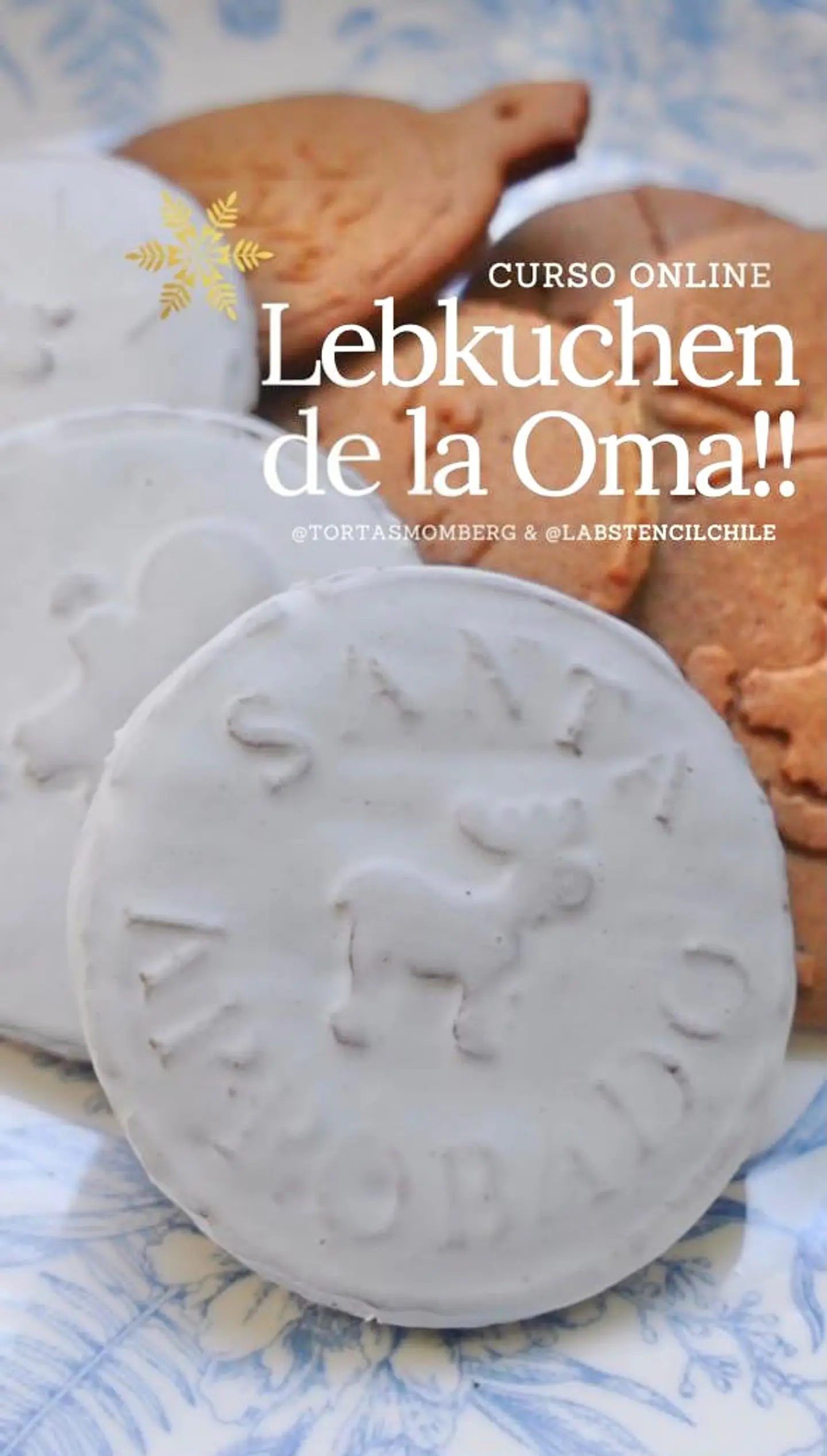 Curso Galletas Lebkuchen 1