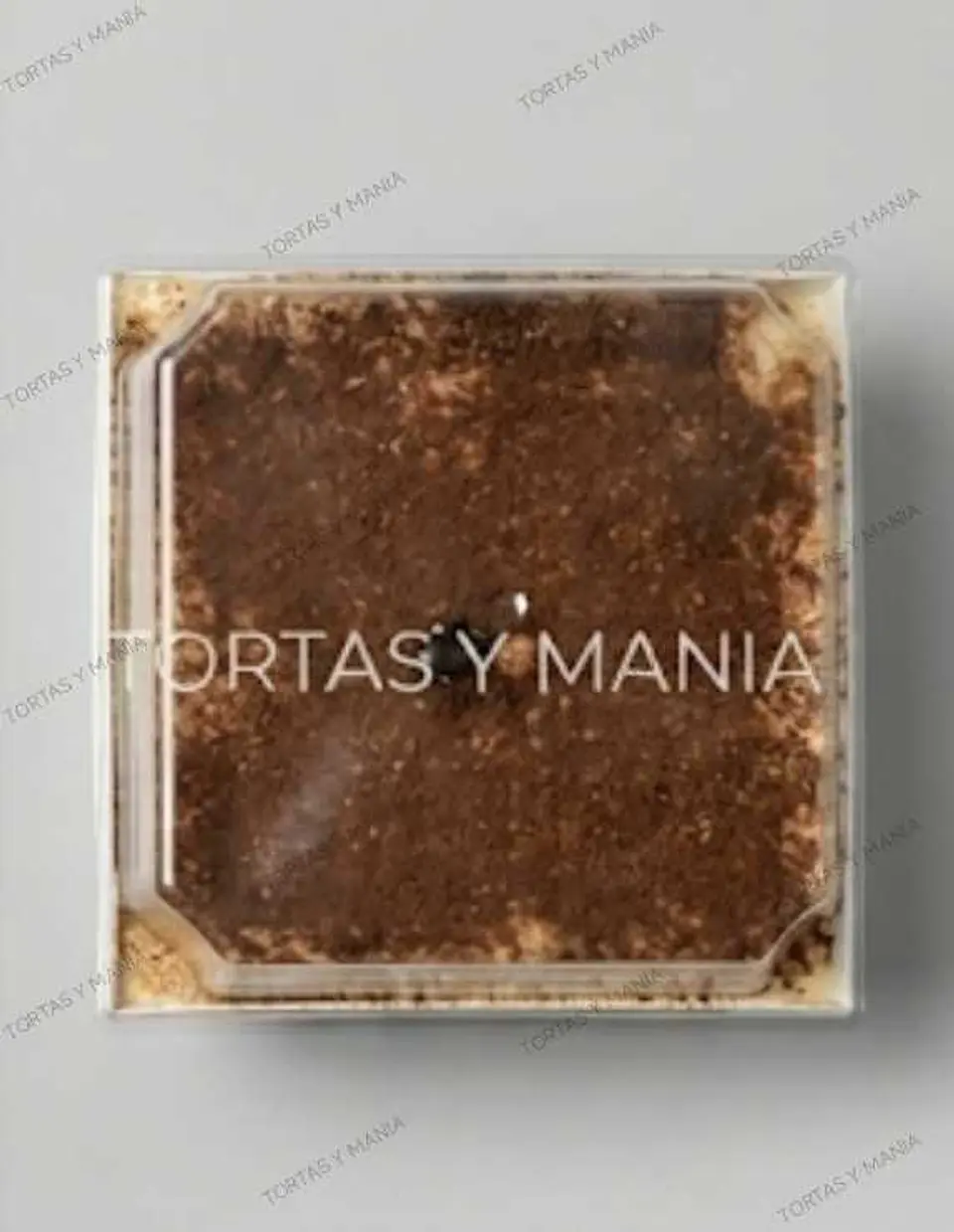 TIRAMISÚ ARTESANAL INDIVIDUAL 2