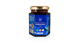 Mermelada Arandano Linaza 215g Illi
