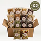 Pack Mes Resuelto + Envío Gratis 28 Colaciones Saludables de Frutos Secos y Mixes - Miniatura 1