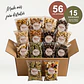 Mega Pack + Envío Gratis 56 Colaciones de Frutos Secos y Mixes - Miniatura 1