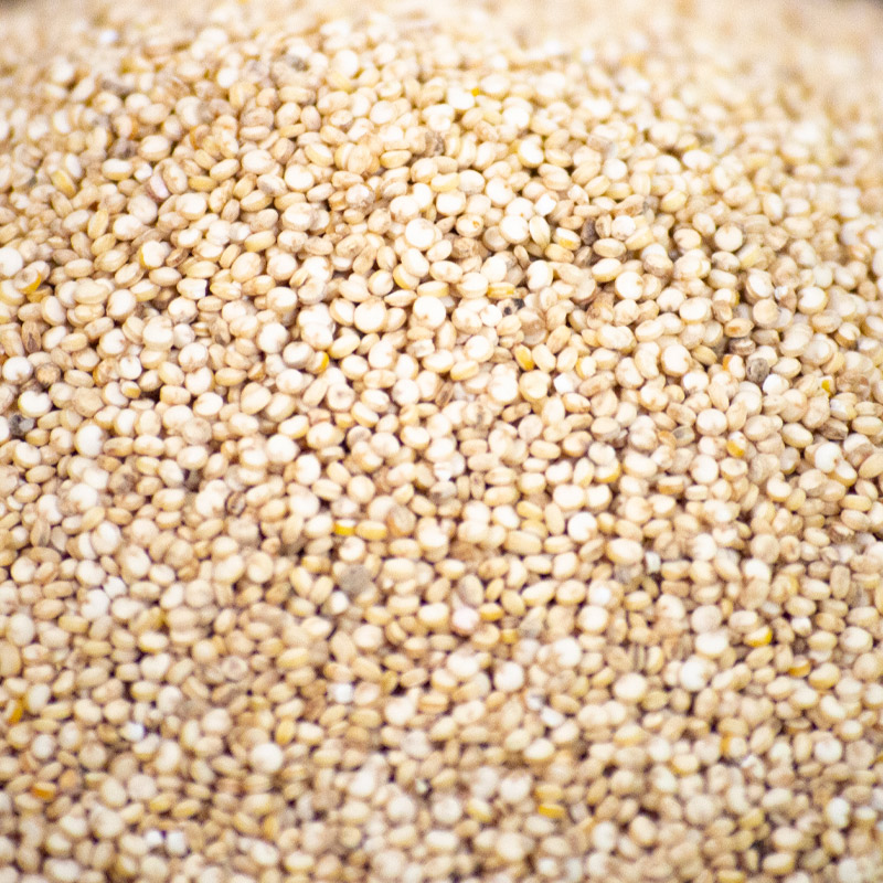 Quinoa Blanca Orgánica