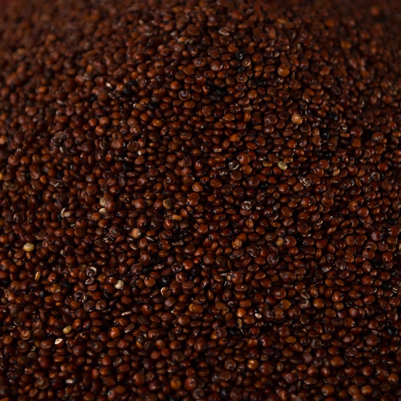 Quinoa roja 500 grs.