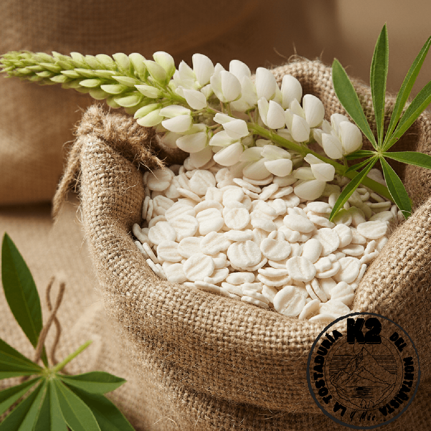 LUPINO LAMINADO – PROTEÍNA VEGETAL CON IDENTIDAD PROPIA