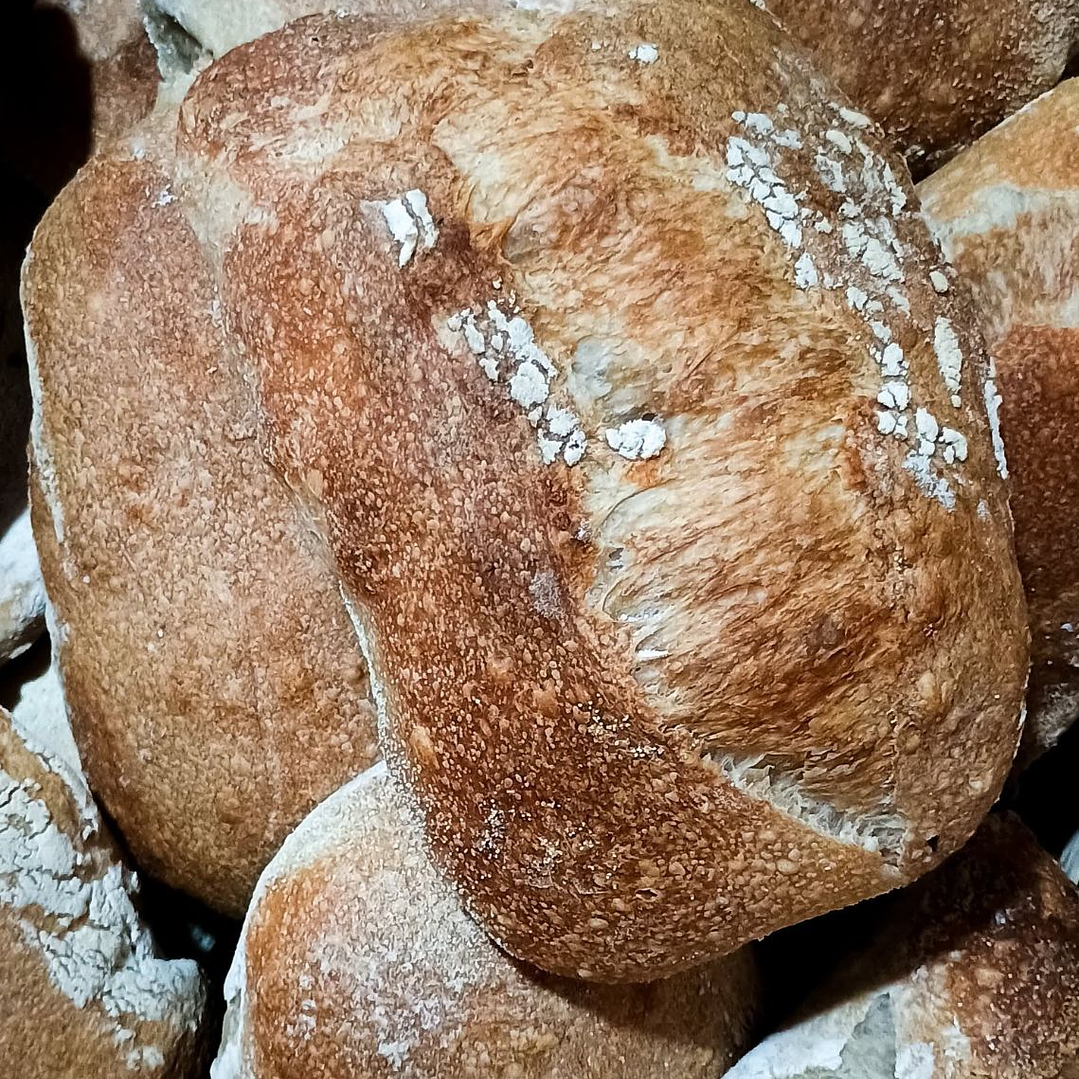 Pan ciabatta 1
