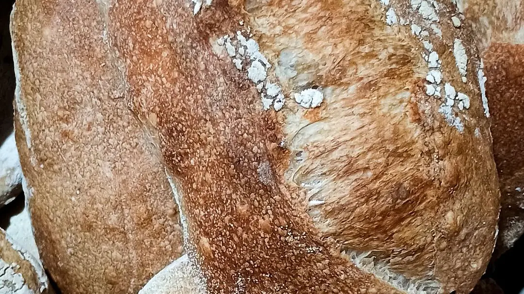 Pan Ciabatta Artesanal 1