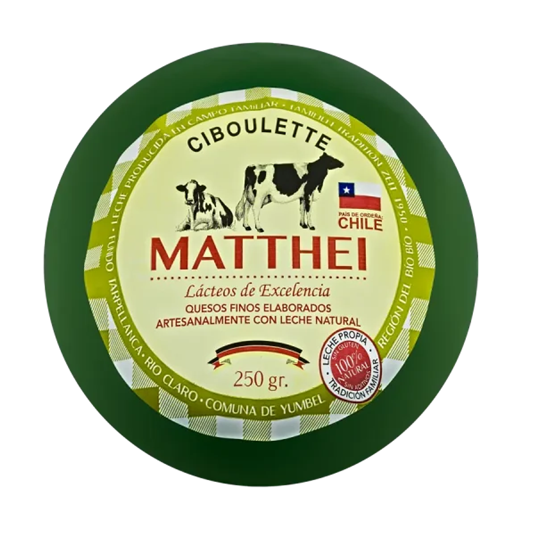 Queso especiado ciboulette 250Gr 1