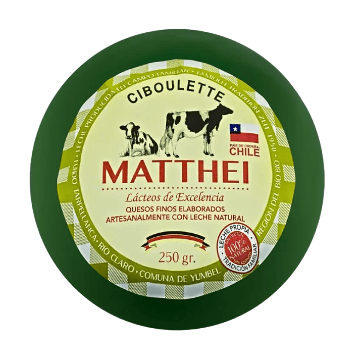 Queso especiado ciboulette 250Gr 1
