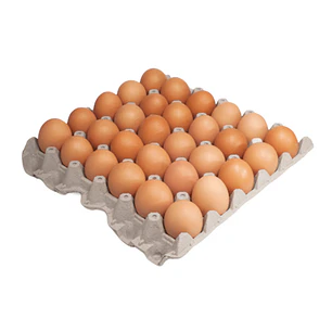 Bandeja de huevos extra color 30un