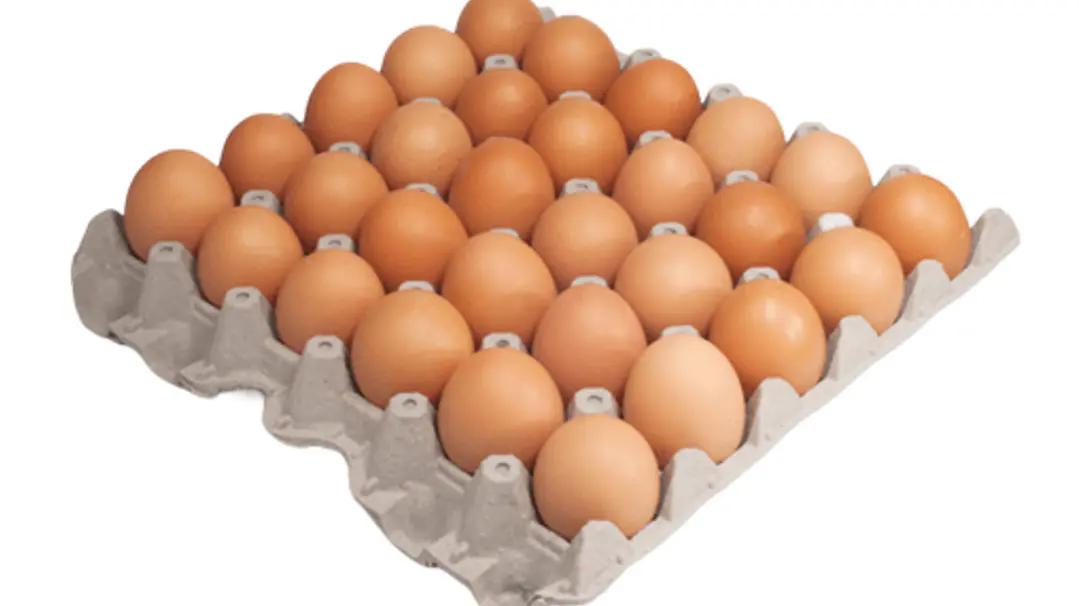 Bandeja de huevos extra color 30un 1