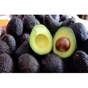 Palta hass chilena kg
