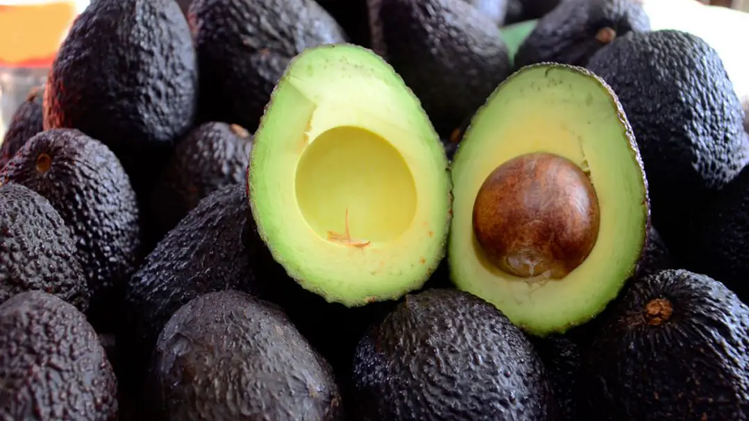 Palta hass chilena kg 1