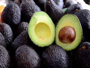 Palta hass chilena kg