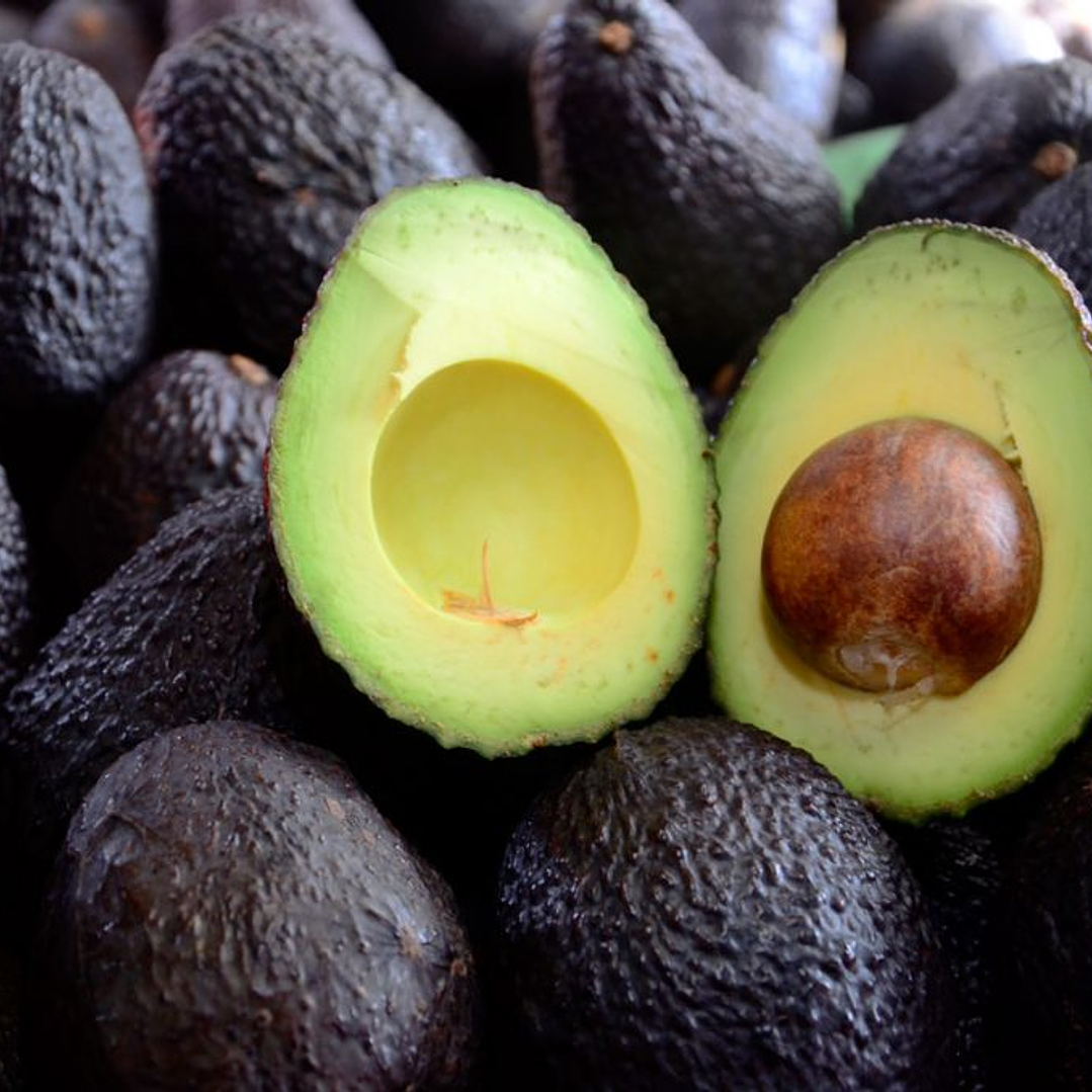 Palta hass chilena kg 2