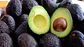 Palta hass chilena kg - Miniatura 2