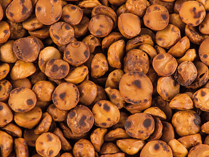 Avellana tostada chilena granel 