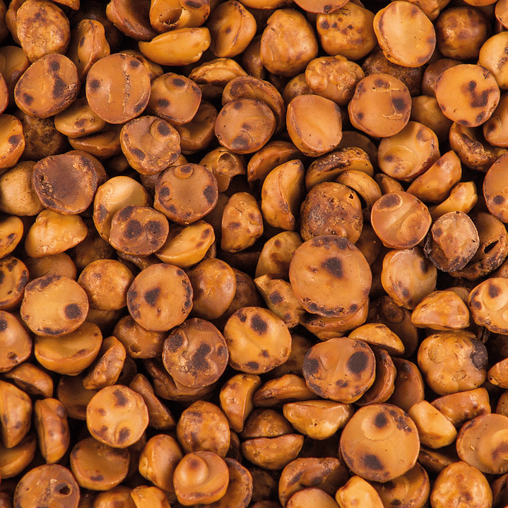 Avellana tostada chilena granel  1