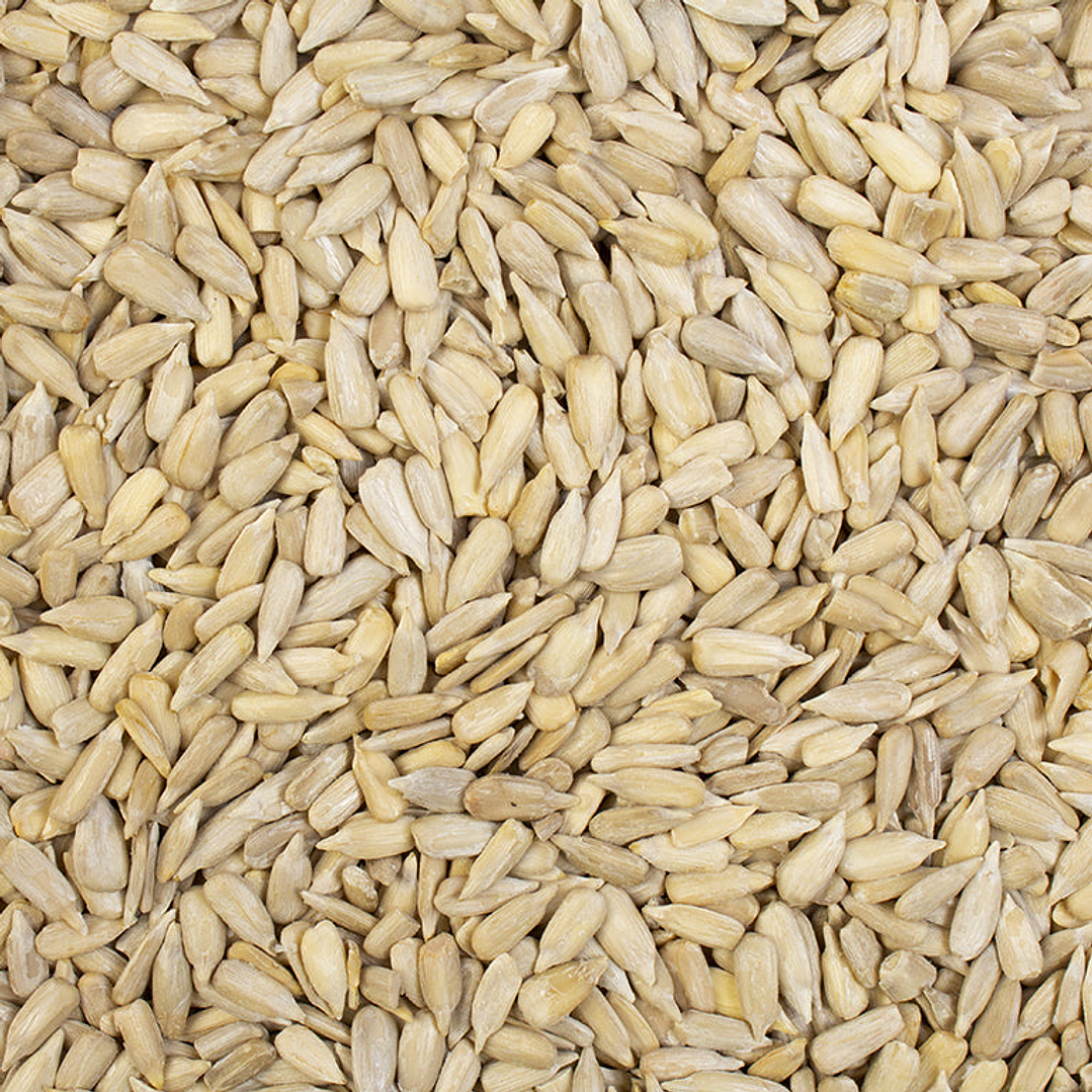 Semillas de maravilla granel 1