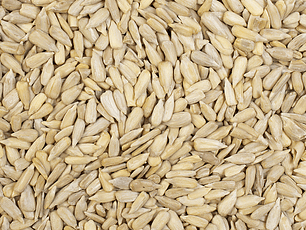 Semillas de maravilla granel